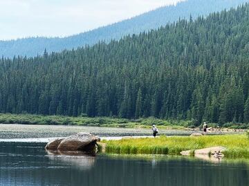 Tour para visitar Rocky Mountain National Park desde Denver: Itinerario y qué saber
