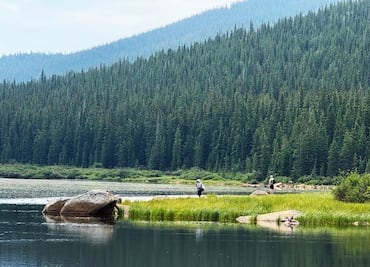 Tour para visitar Rocky Mountain National Park desde Denver: Itinerario y qué saber