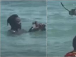 Video. Captan a pareja torturando y aventando al mar a gatito en Florida