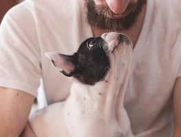 Cachorros tienen apego a las voces de sus amos igual que los bebés a sus madres
