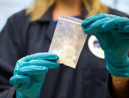 El fentanilo ya supone el 81 % de las muertes por sobredosis en Nueva York; ¿Qué es y por qué es tan peligroso?