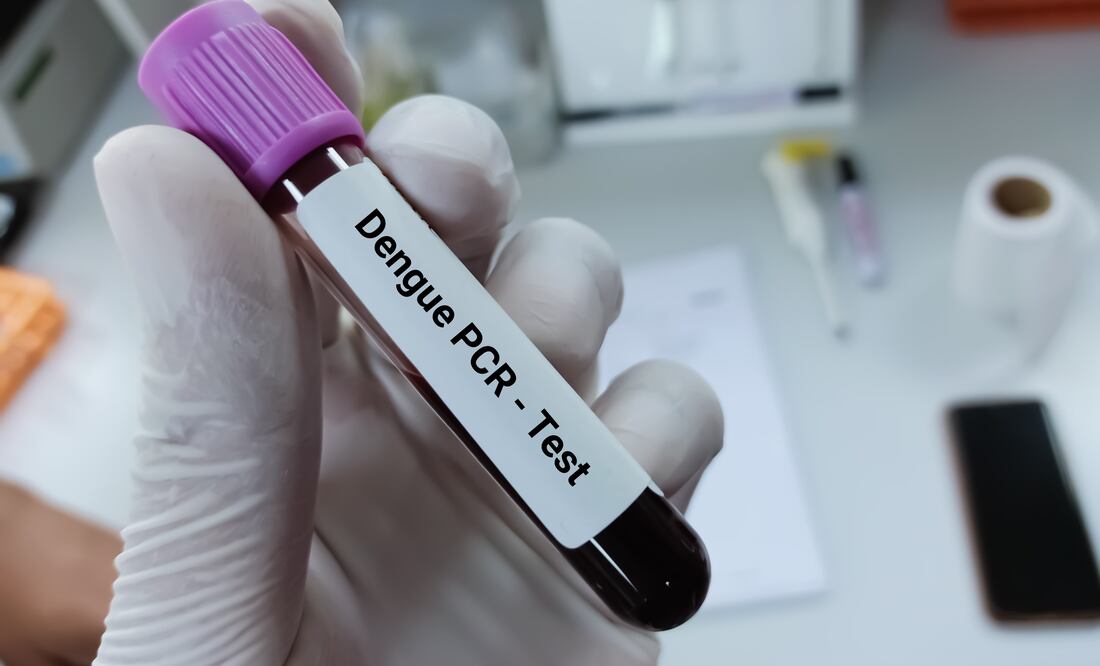 Declaran una epidemia de dengue en Puerto Rico; lo que se sabe. Foto iStock / Md Zakir Mahmud