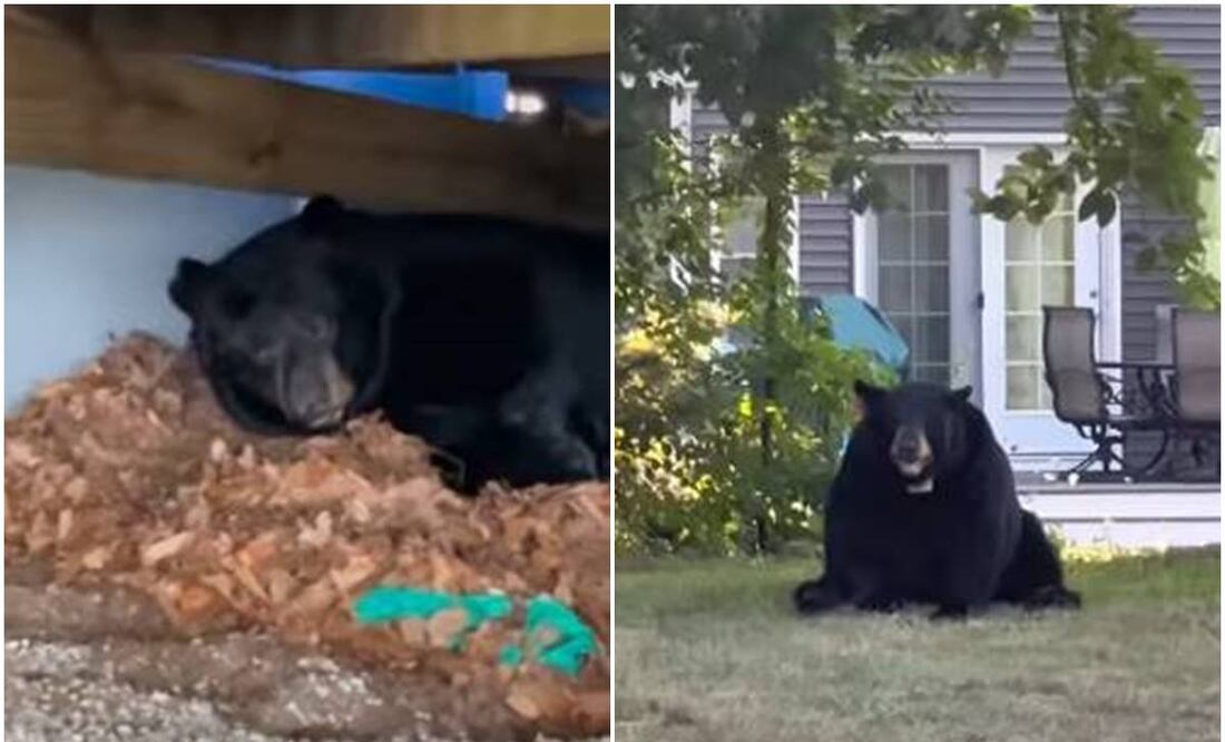 Foto tomada de video