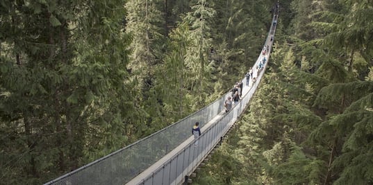 Recorre el puente colgante de Vancouver cubierto con luces navideñas