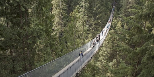 Recorre el puente colgante de Vancouver cubierto con luces navideñas