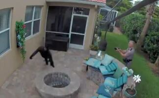 Video. Policía usa taser contra joven que esperaba a su novia en Florida