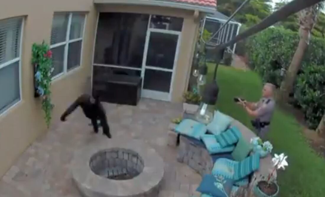 Foto: captura de pantalla