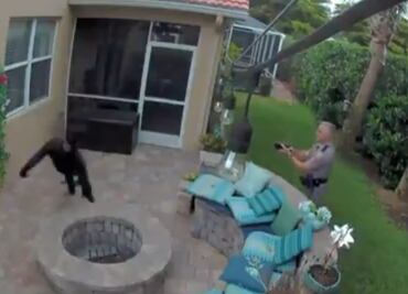 Video. Policía usa taser contra joven que esperaba a su novia en Florida