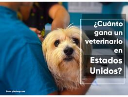 ¿Cuánto gana un veterinario en Estados Unidos por hora 2023?