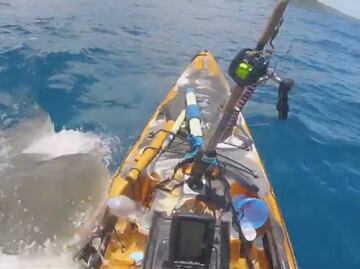 Video. El impactante ataque de tiburón a un pescador en un kayak en Hawái