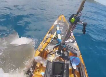 Video. El impactante ataque de tiburón a un pescador en un kayak en Hawái
