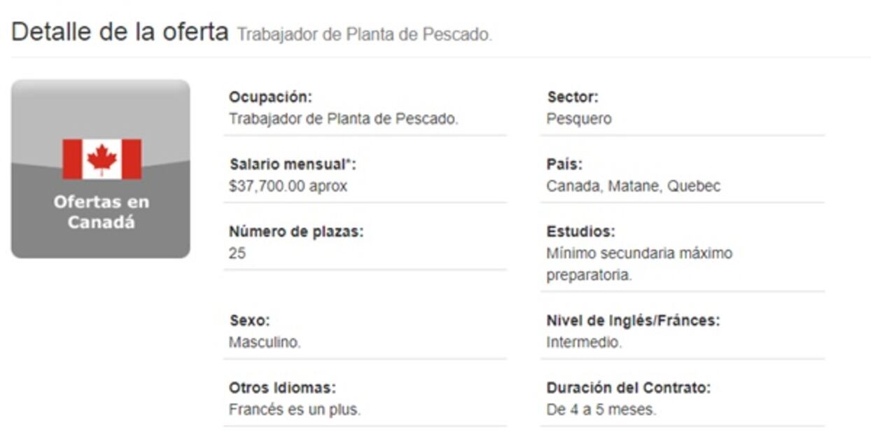 Canadá busca trabajadores para Planta de Pescado; ofrecen hospedaje 