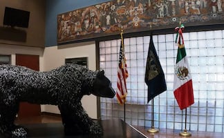 UNAM San Antonio ofrece cursos de ciudadanía y español en línea