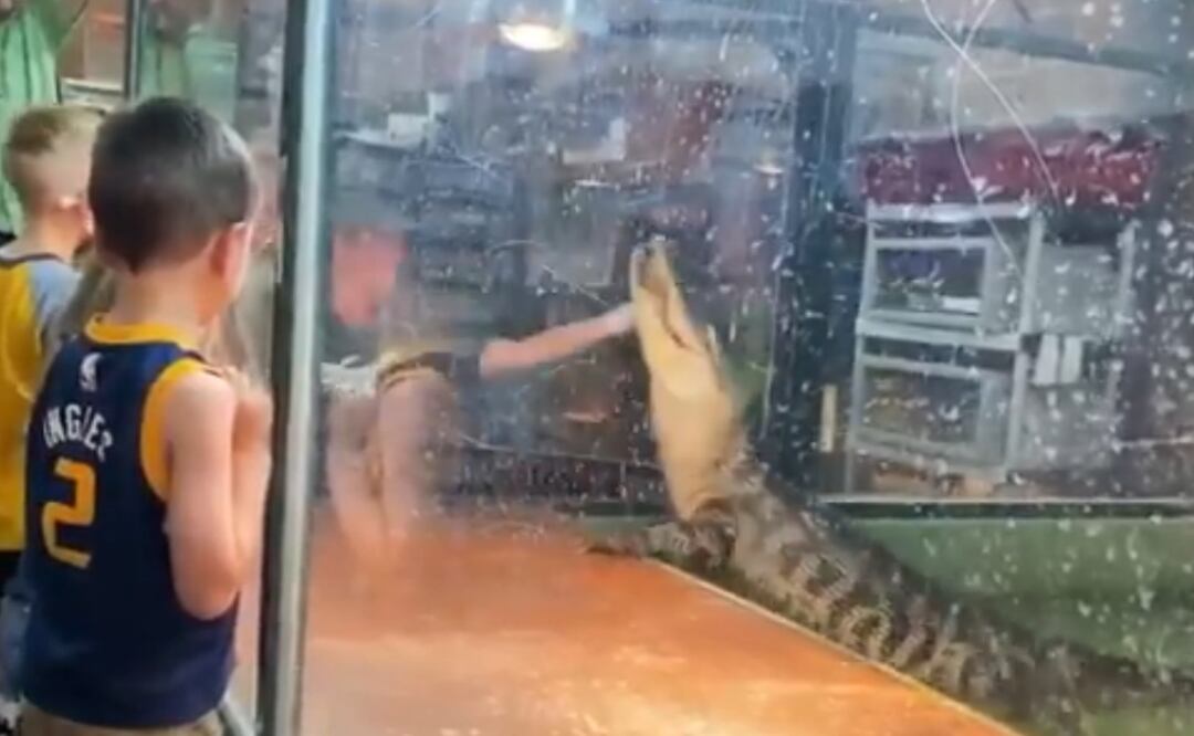 Foto: captura de pantalla