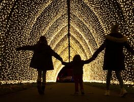 La historia detrás del origen de las luces navideñas