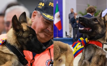 El emotivo gesto de Venezuela con México tras los terremotos: donó una perrita de rescate