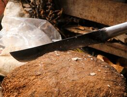 Tres turistas argentinos son atacados a machetazos en Oaxaca, México