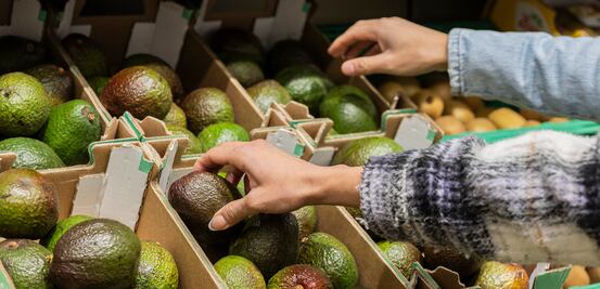 Aranceles de Trump encarecen la canasta en EU: Aguacates, tomates y jarabe de arce al alza