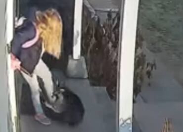 Video. Madre rescata a su hija de ataque de mapache en EU