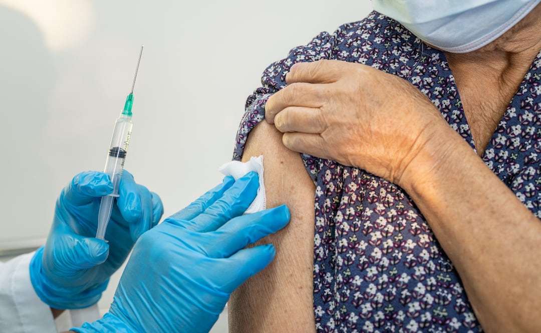 ¿Dónde vacunarse contra la influenza gratis en México? Estos son los lugares. Foto: CANVA