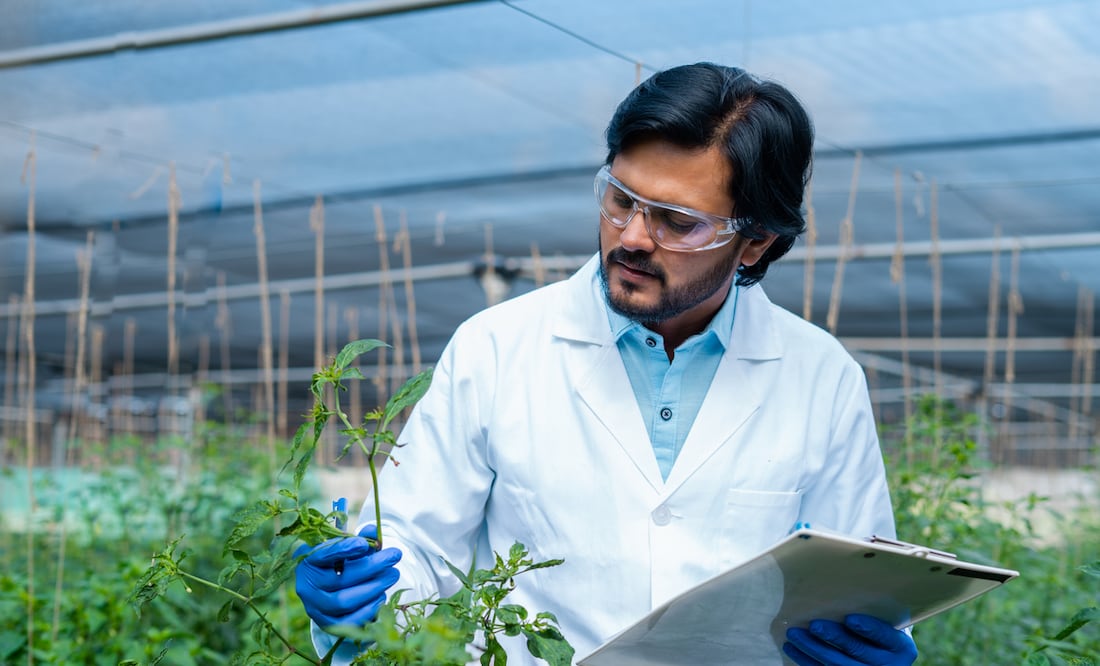 ¡Hay vacantes! Consulado de Estados Unidos ofrece trabajo y paga $540,572 pesos anuales. iStock/lakshmiprasad S