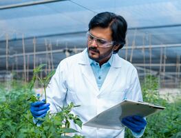 ¡Hay vacantes! Consulado de Estados Unidos ofrece trabajo y paga $540,572 pesos anuales