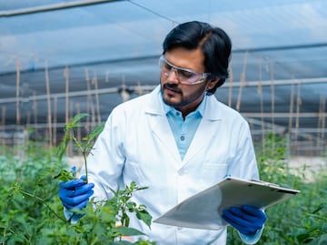 ¡Hay vacantes! Consulado de Estados Unidos ofrece trabajo y paga $540,572 pesos anuales