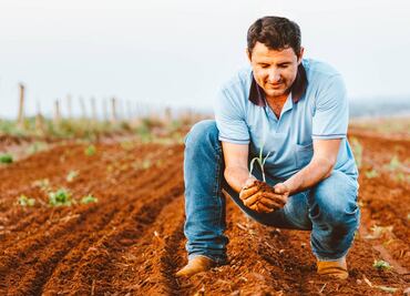 Embajada de EU lanza vacante para especialistas en agricultura; paga $1,097,000