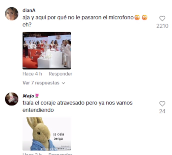 Foto: TikTok / Kathy Labz