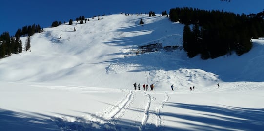 Mueren dos personas por avalancha de nieve en resort de Idaho 
