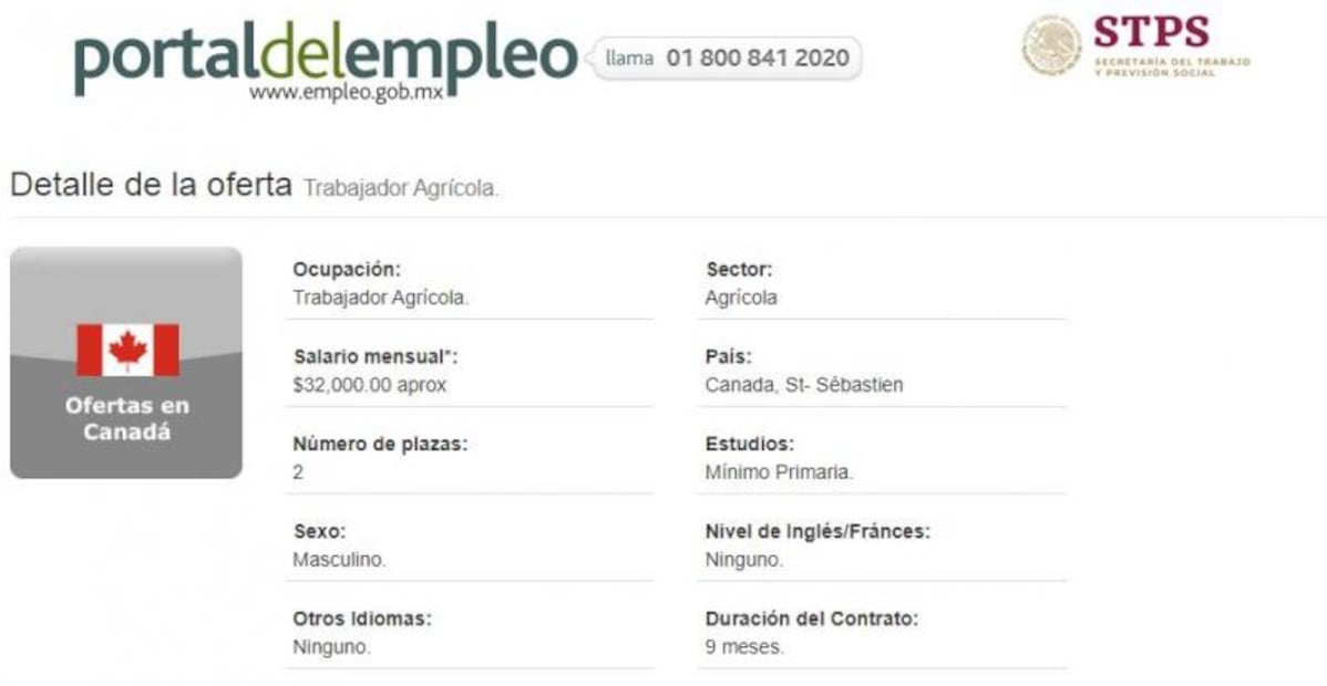 Canadá busca trabajadores agrícolas; no necesitan inglés ni francés 