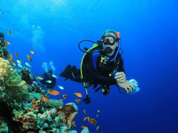 NASA lanza videojuego para ayudar a localizar corales