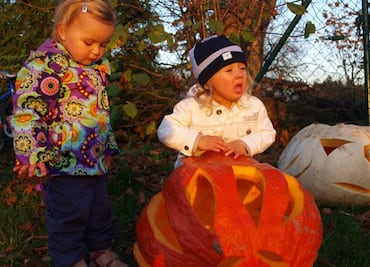 ¿Es seguro salir a pedir calaverita durante la pandemia?