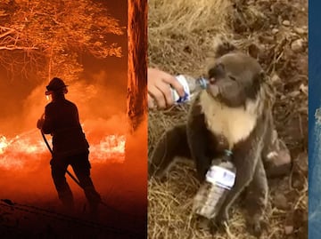 Bomberos de EU y Canadá llegan a Australia para combatir incendios