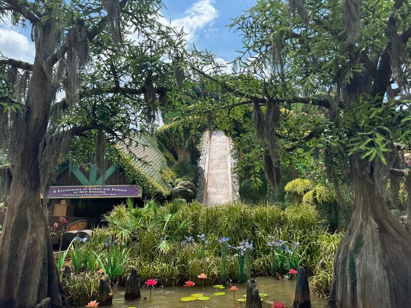 Tiana's Bayou Adventure/ Magic Kingdom