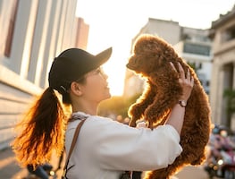 Las ciudades donde es más caro criar y cuidar perros en EU