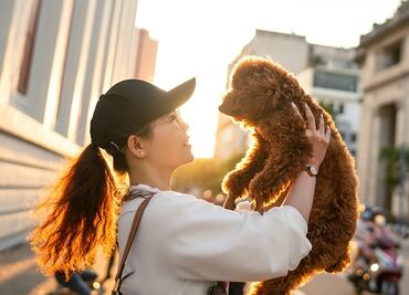 Las ciudades donde es más caro criar y cuidar perros en EU