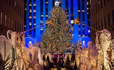 El icónico árbol navideño del Rockefeller Center ya está en Nueva York: ¿Cuándo se encienden sus luces?