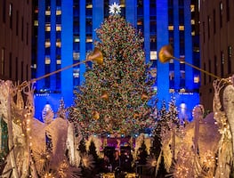 El icónico árbol navideño del Rockefeller Center ya está en Nueva York: ¿Cuándo se encienden sus luces?
