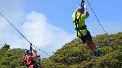 Recorre las mejores atracciones de Hawái con un tour en tirolesa