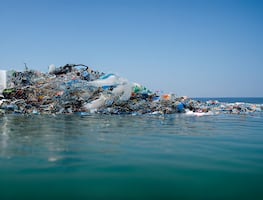 Científicos descubren un aumento "sin precedentes" de plástico en los océanos