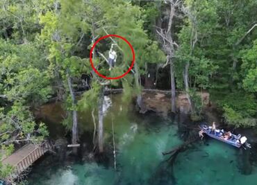 Al estilo "Tarzán”, hombre sufre impactante caída desde un árbol de casi 20 mts de altura. VIDEO