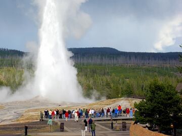 Arrestan a turistas por acercarse peligrosamente a géiser de Yellowstone