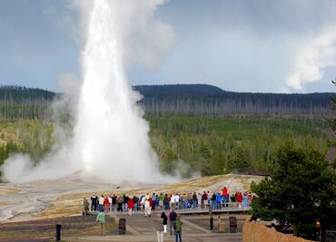 Arrestan a turistas por acercarse peligrosamente a géiser de Yellowstone
