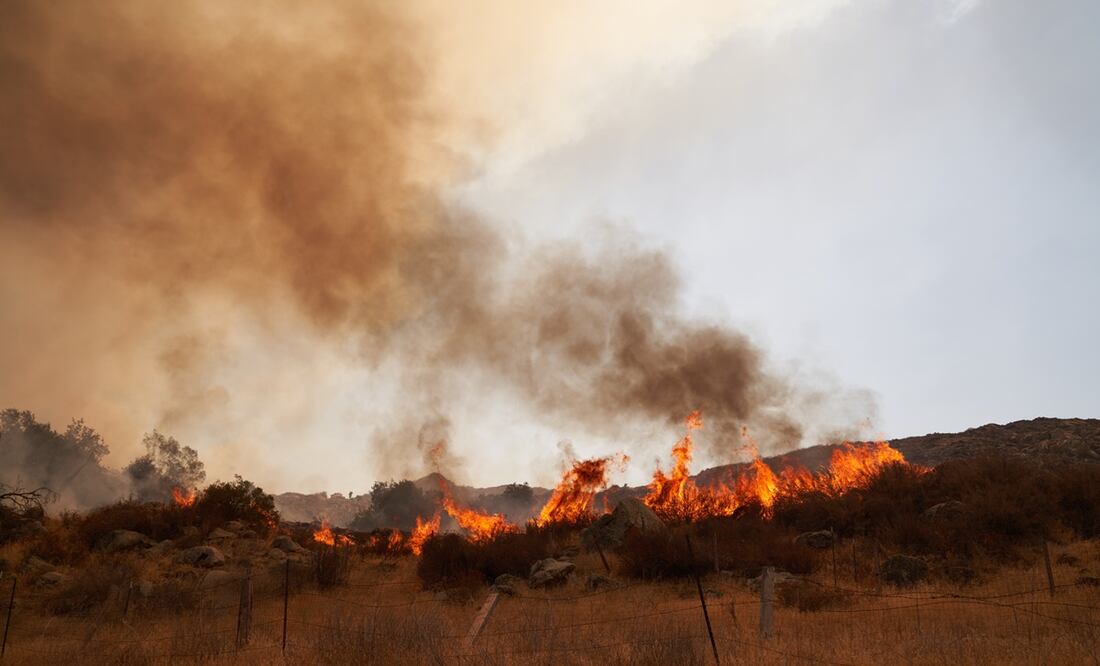 Sequía e incendios forestales afectan a hispanos. Foto: EFE