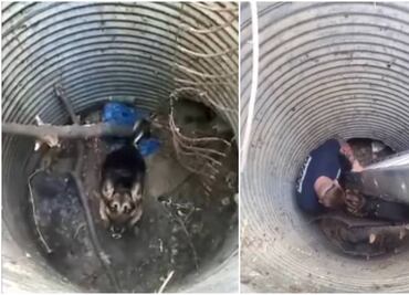 Video. Policías rescatan a perro que cayó en hoyo a 3 metros de profundidad