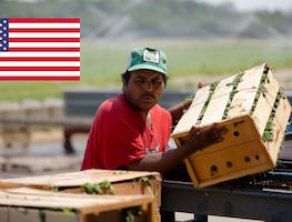 ¿Buscas trabajo? Las 10 ocupaciones agrícolas más solicitadas en EU