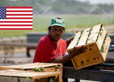 ¿Buscas trabajo? Las 10 ocupaciones agrícolas más solicitadas en EU