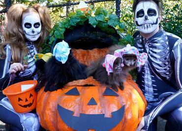 Los disfraces de Halloween más populares en EU para este 2022