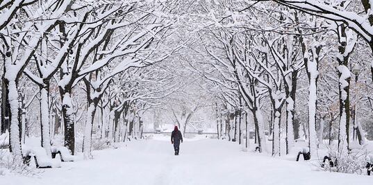 Registran temperaturas de hasta -50 grados centígrados en Canadá 